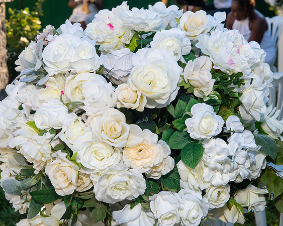 Jim Halling Photography-5287