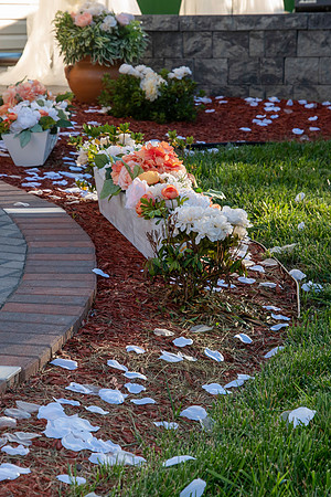 Jim Halling Photography-5320
