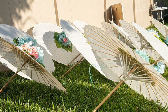 Jim Halling Photography resized-5260