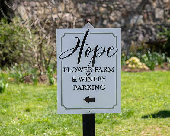 Jim Halling Photography-1726