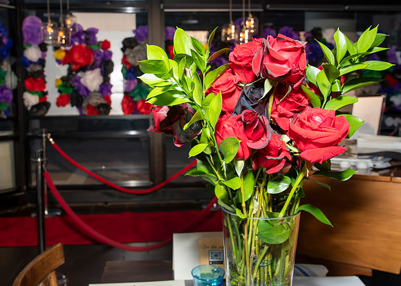 Jim Halling Photography-7947