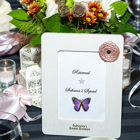 Jim Halling Photography-5729