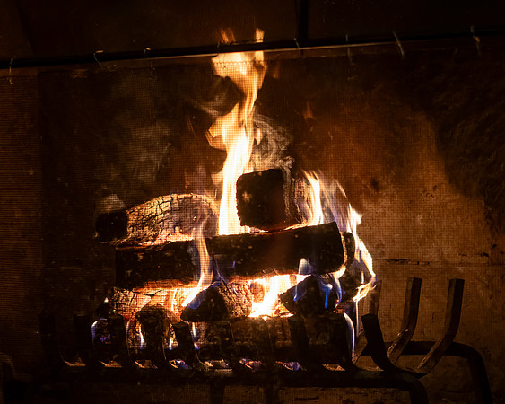 Jim Halling Photography-4465