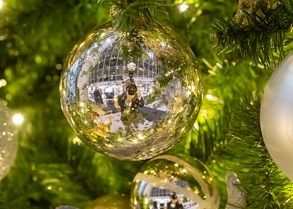 Jim Halling Photography-3991