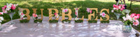 Jim Halling Photography-2629