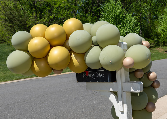 Jim Halling Photography-2078