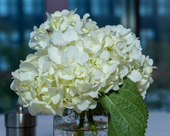 Jim Halling Photography-2967