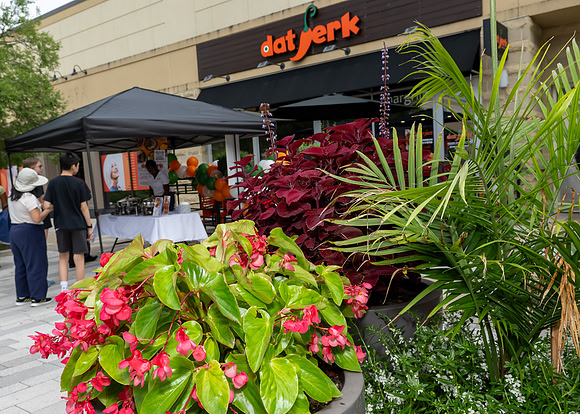 Jim Halling Photography-7873