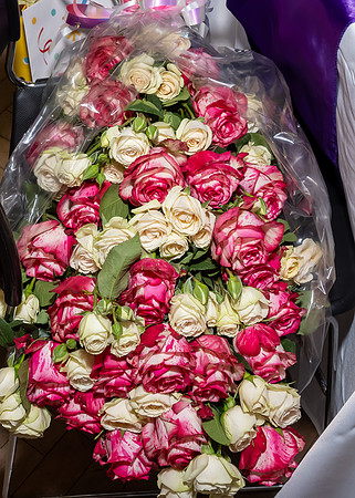 Jim Halling Photography-9592