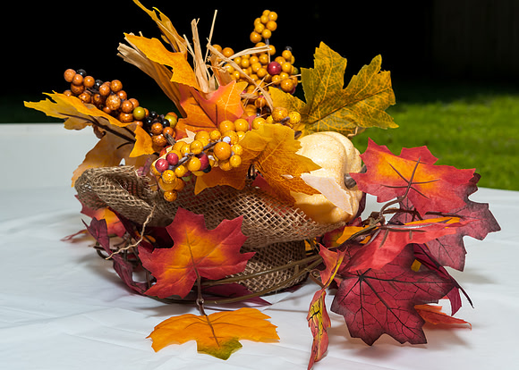 Jim Halling Photography-5372