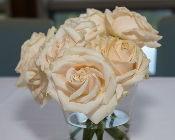 Jim Halling Photography-3215