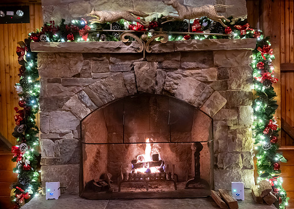 Jim Halling Photography-4479