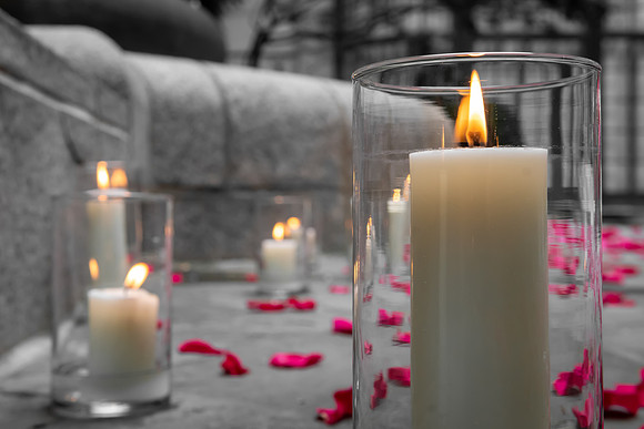 Jim Halling Photography-8187