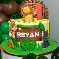 Reyan's 1st Birthday