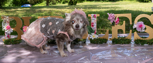 Jim Halling Photography-2661