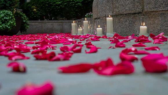 Jim Halling Photography-8221