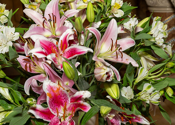 Jim Halling Photography-7622