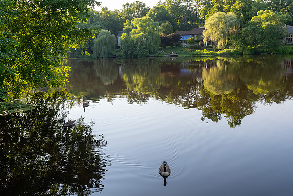 Jim Halling Photography-3220