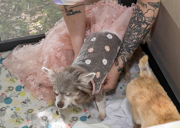 Jim Halling Photography-2609