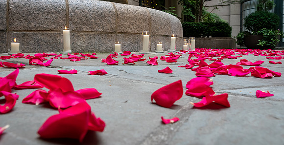 Jim Halling Photography-8183