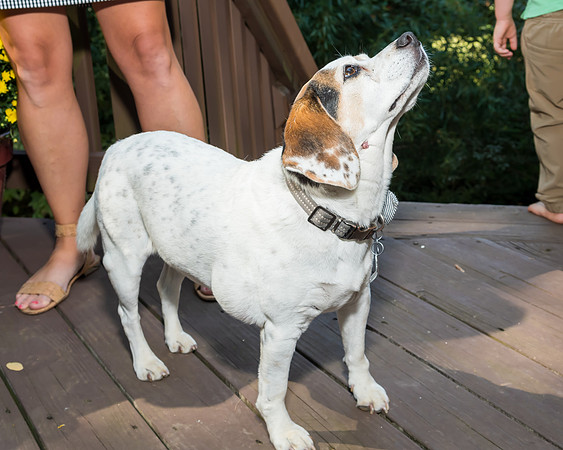 Jim Halling Photography-5274