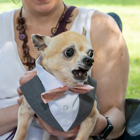 Jim Halling Photography-2810