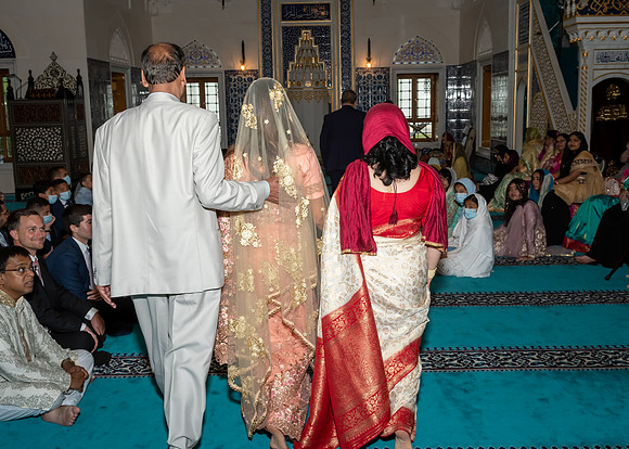 Jim Halling Photography-8038