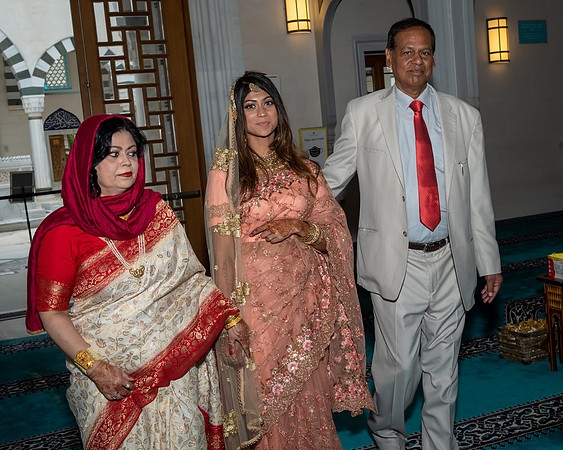 Jim Halling Photography-8037