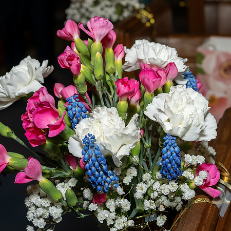 Jim Halling Photography-7621