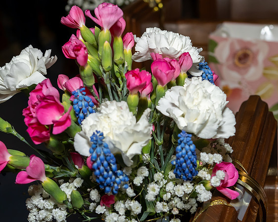 Jim Halling Photography-7620
