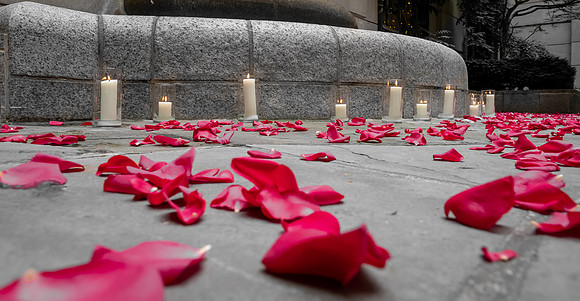 Jim Halling Photography-8185