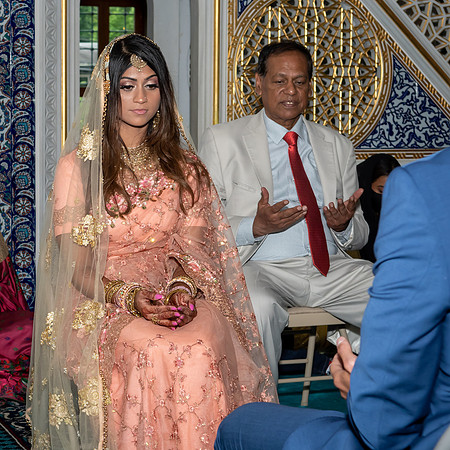 Jim Halling Photography-8063